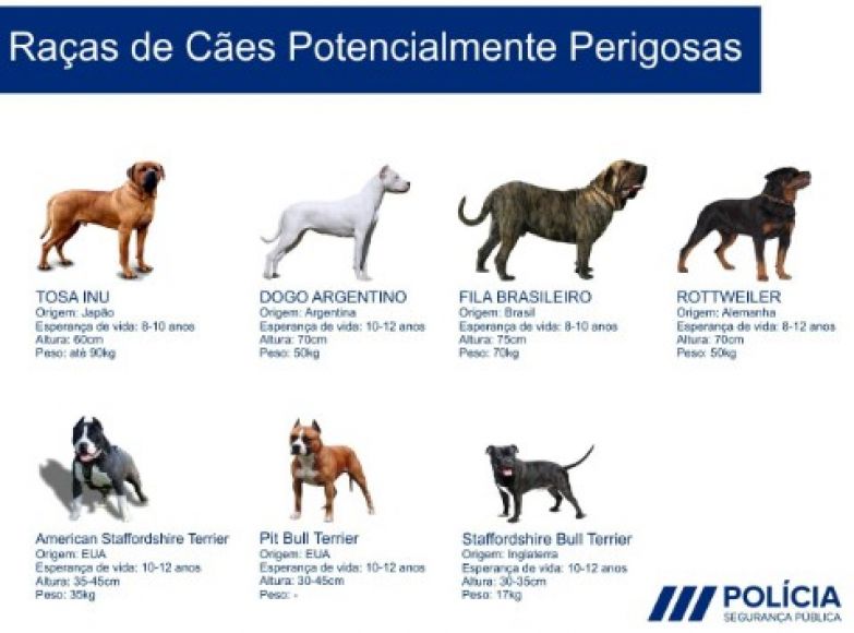 Forma&ccedil;&atilde;o para detentores de c&atilde;es perigosos ou potencialmente perigosos.